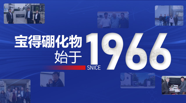 １１